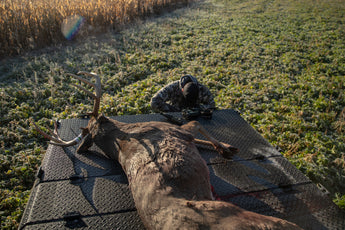 Harvest Bigger Deer